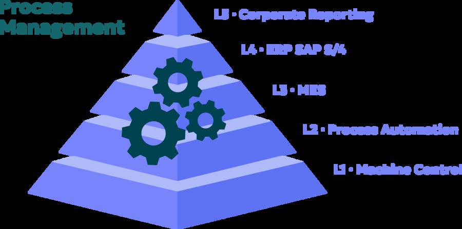 Process management