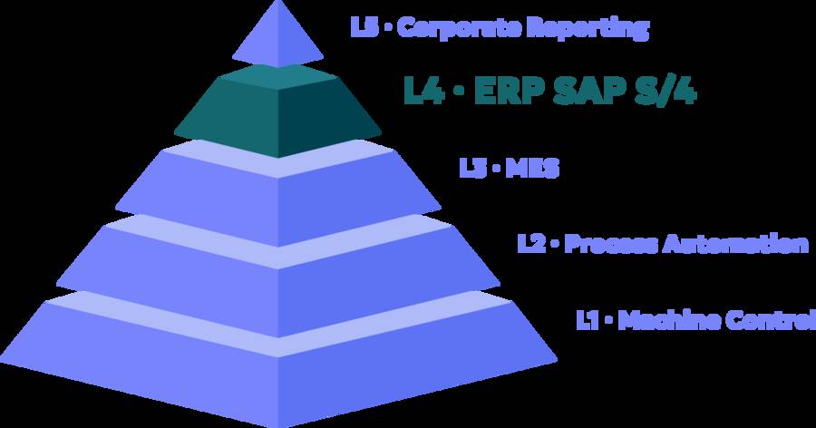 SAP S/4 Implementation